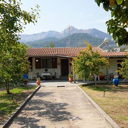 Olive Summer House Chrisi Ammoudia Exteriör bild