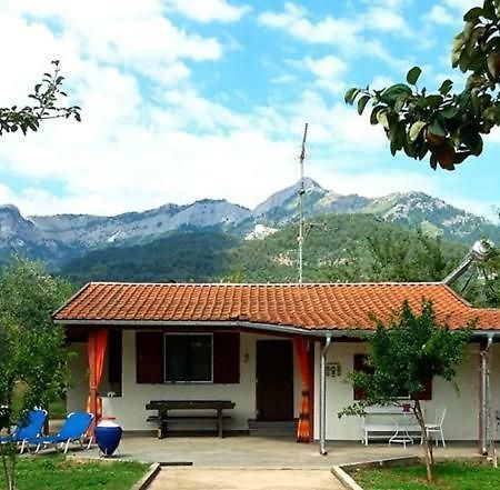 Olive Summer House Chrisi Ammoudia Exteriör bild