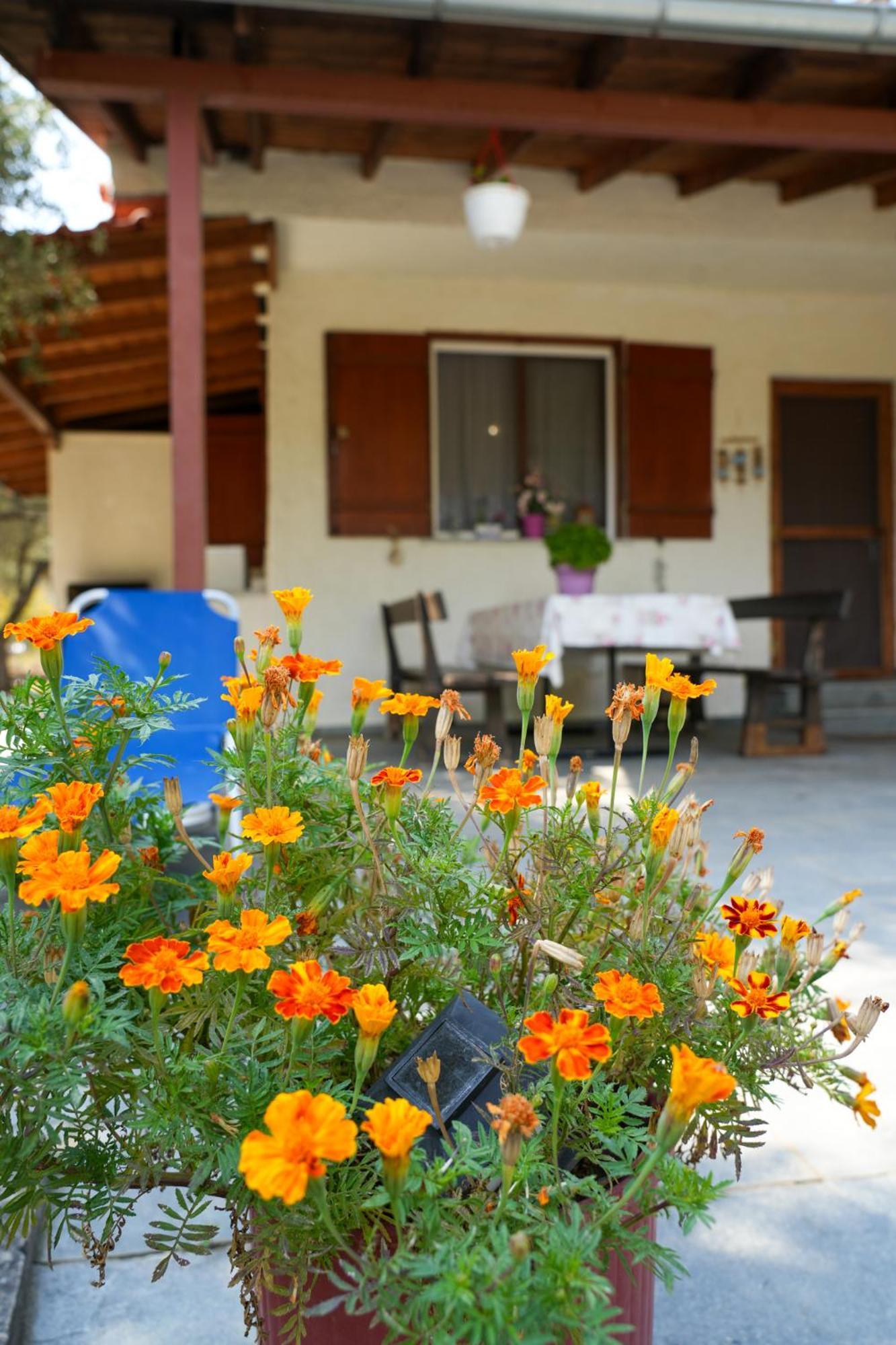 Olive Summer House Chrisi Ammoudia Exteriör bild