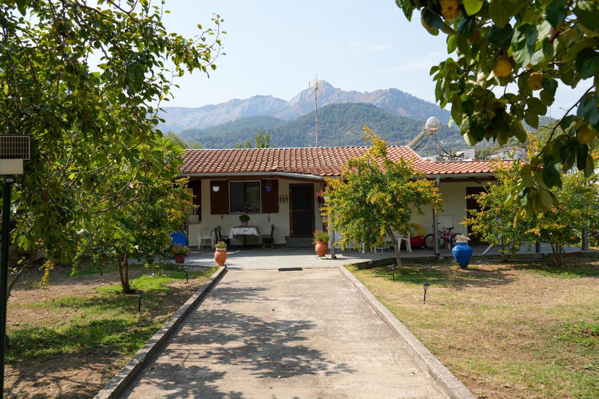 Olive Summer House Chrisi Ammoudia Exteriör bild