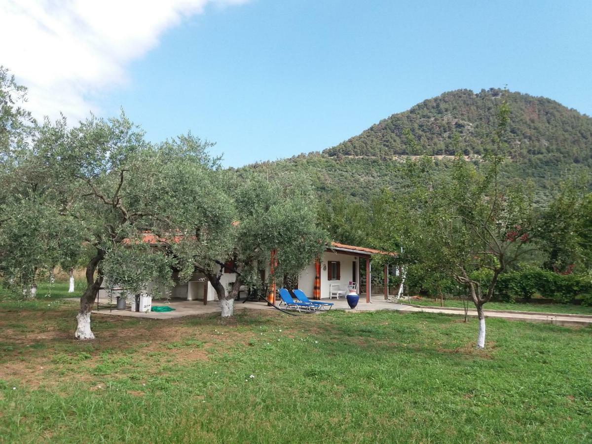 Olive Summer House Chrisi Ammoudia Exteriör bild