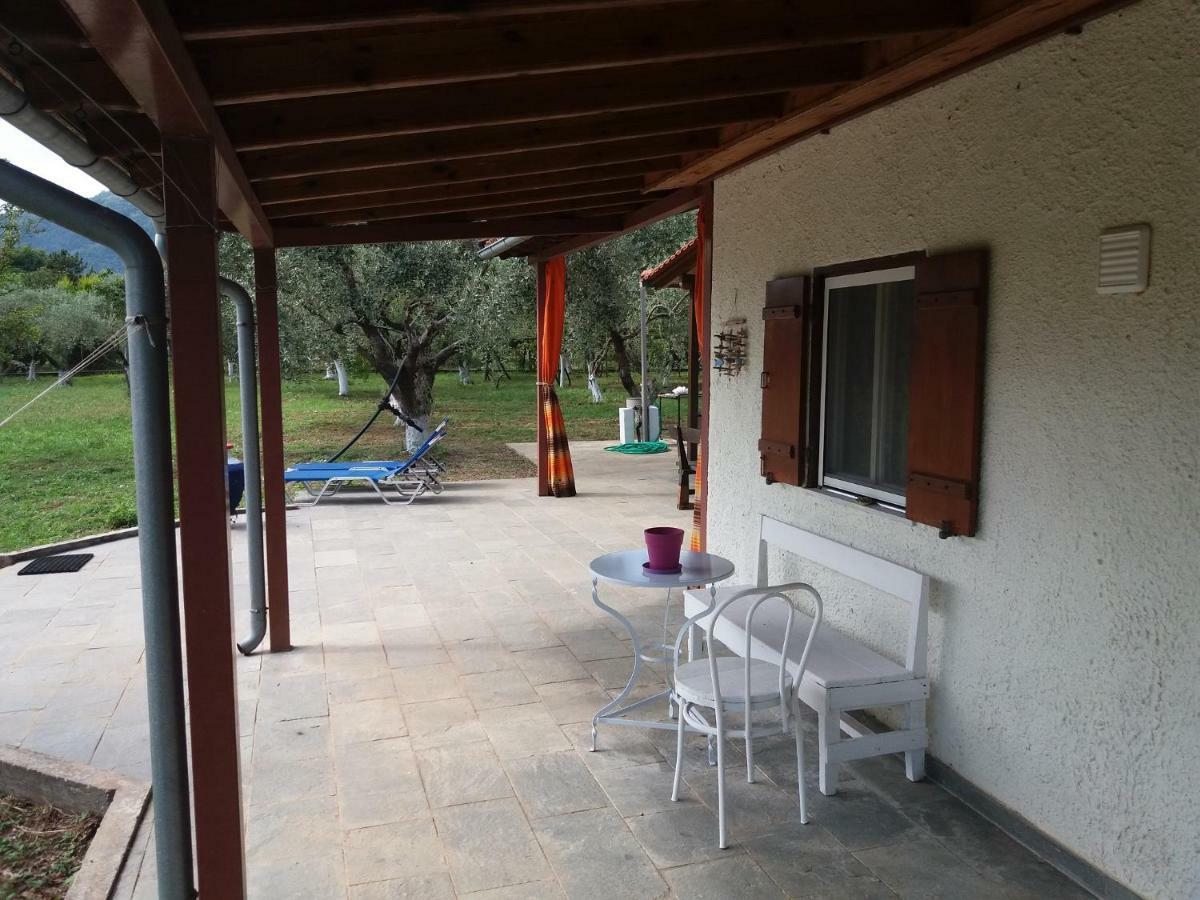 Olive Summer House Chrisi Ammoudia Exteriör bild