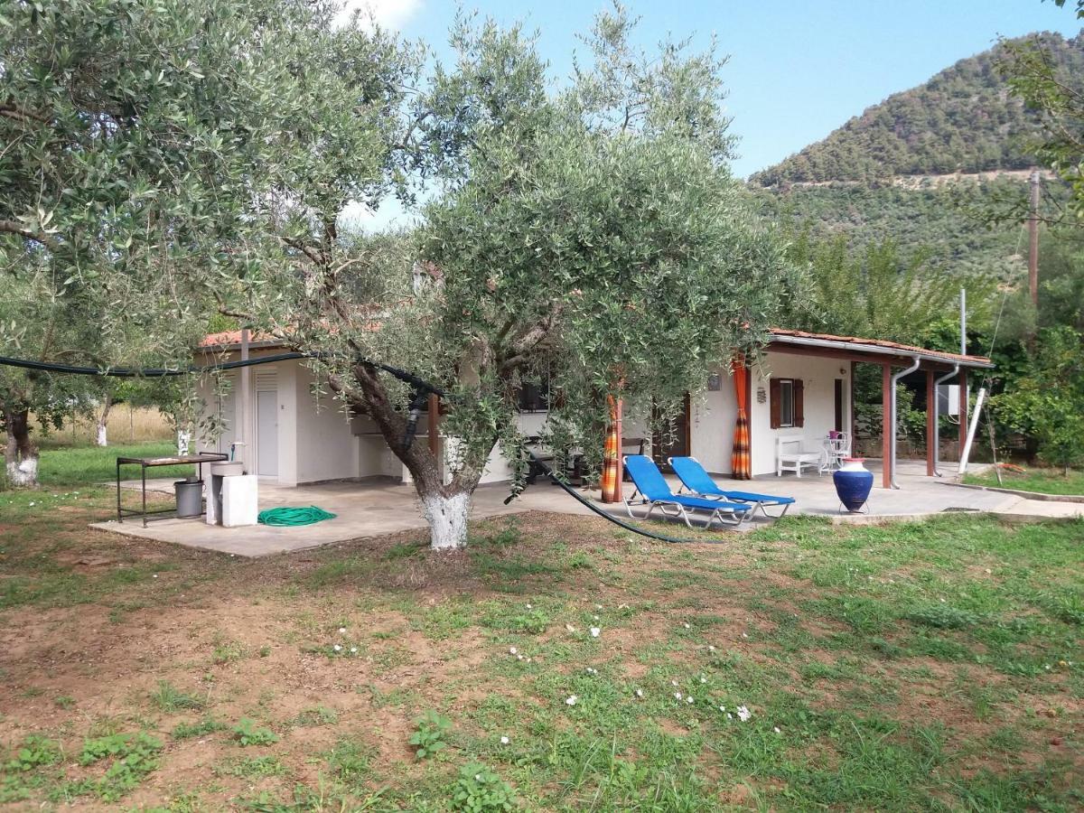 Olive Summer House Chrisi Ammoudia Exteriör bild