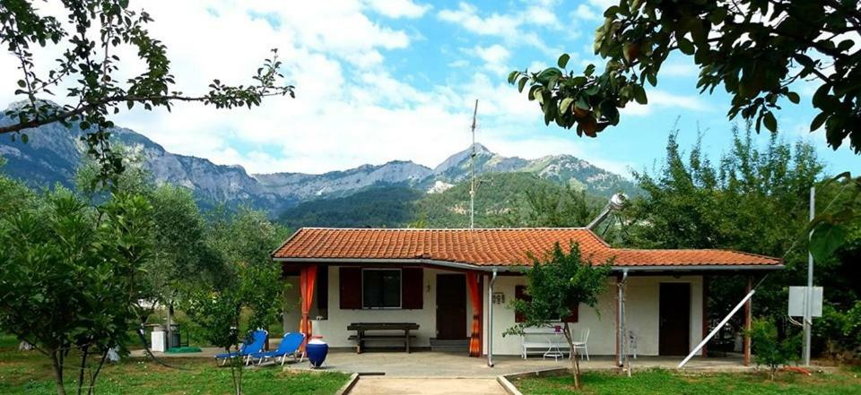 Olive Summer House Chrisi Ammoudia Exteriör bild